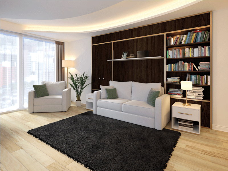 Custom sofa wall bed with integrated bookshelves, hidden Murphy bed system, and space-saving living room design by Custom Closets A&G Designs.